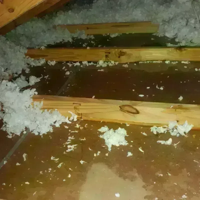 Attic Water Damage in Grayville, IL