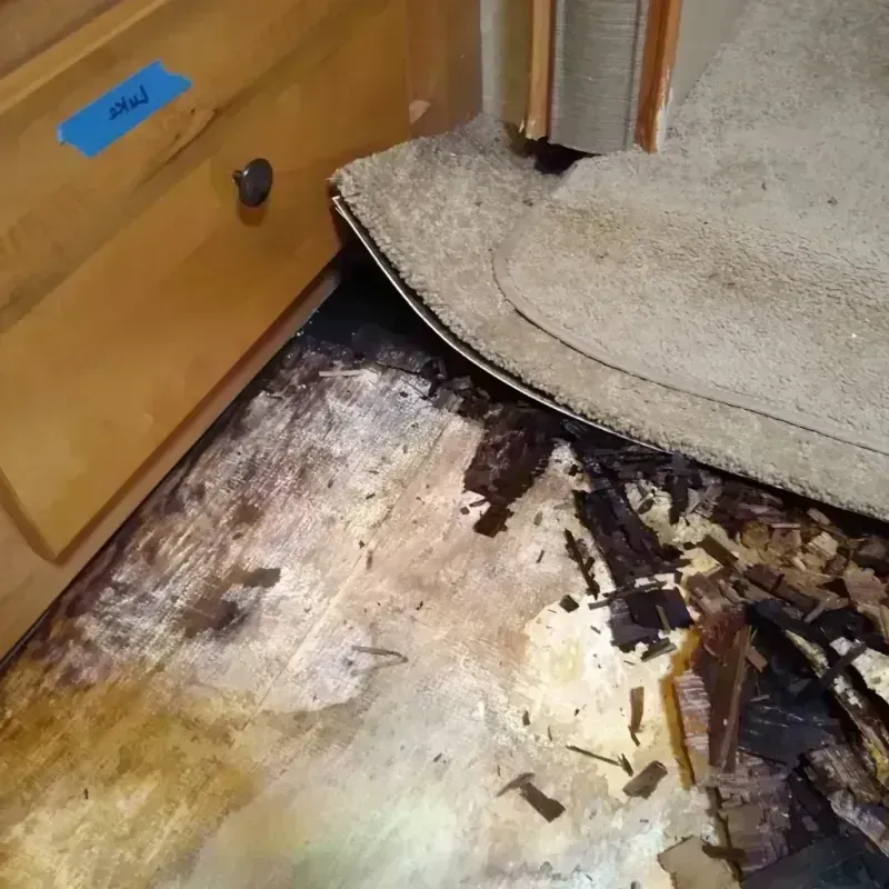 Wood Floor Water Damage in Grayville, IL